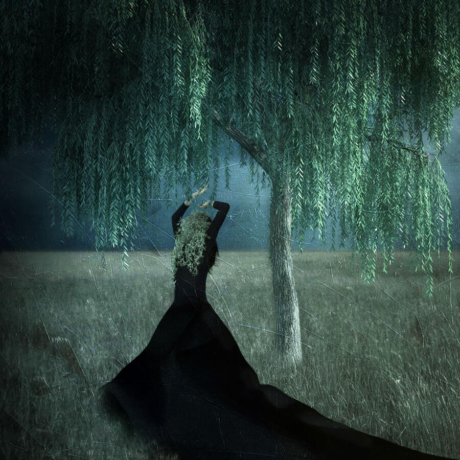 inspired by brooke shaden